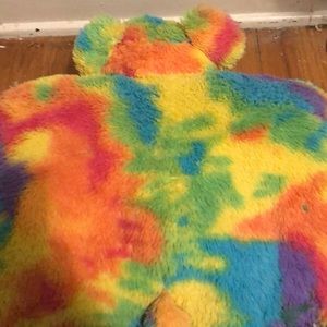Rainbow bear
